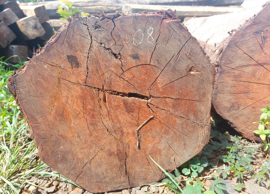 Khối lượng gỗ tang vật trong vụ vận chuyển gỗ trái phép là hơn 1,9 m3. Ảnh: Nguyễn Tú Khối lượng gỗ tang vật trong vụ vận chuyển gỗ trái phép là hơn 1,9 m3. Ảnh: Nguyễn Tú