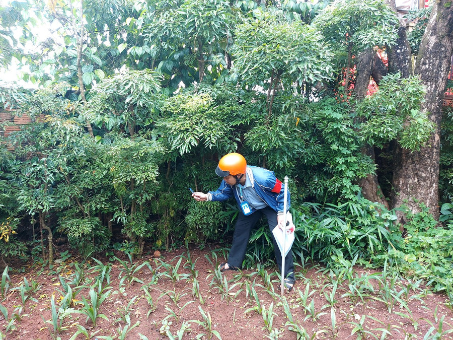 Lực lượng cưỡng chế kiểm đếm cây trồng tại thửa đất do ông, bà Nguyễn Văn Hảo-Nguyễn Thị Chung sử dụng. Ảnh: T.D Lực lượng cưỡng chế kiểm đếm cây trồng tại thửa đất do ông, bà Nguyễn Văn Hảo-Nguyễn Thị Chung sử dụng. Ảnh: T.D