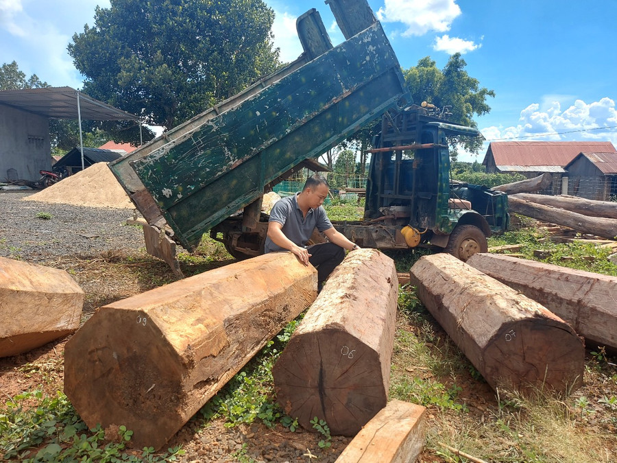 Phương tiện và tang vật vụ vận chuyển lâm sản trái phép tại xã Kon Chiêng. Ảnh: Nguyễn Tú Phương tiện và tang vật vụ vận chuyển lâm sản trái phép tại xã Kon Chiêng. Ảnh: Nguyễn Tú