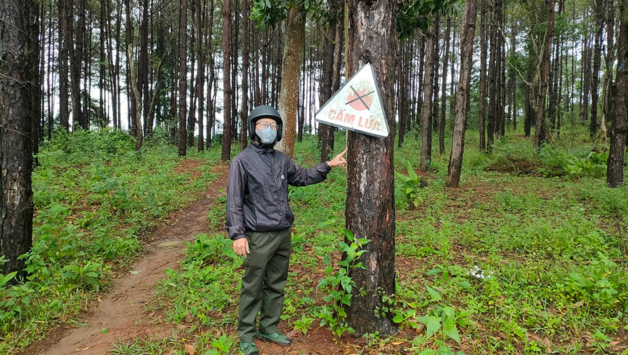 Khu đất tranh chấp giữa Phan Anh Tuấn và Ban Quản lý rừng phòng hộ Bắc Biển Hồ. Ảnh: T.D