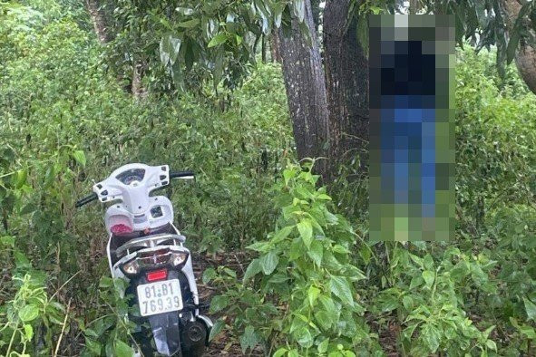 Thi thể nữ treo cổ tại gốc cây thuộc địa bàn phường Trà Bá