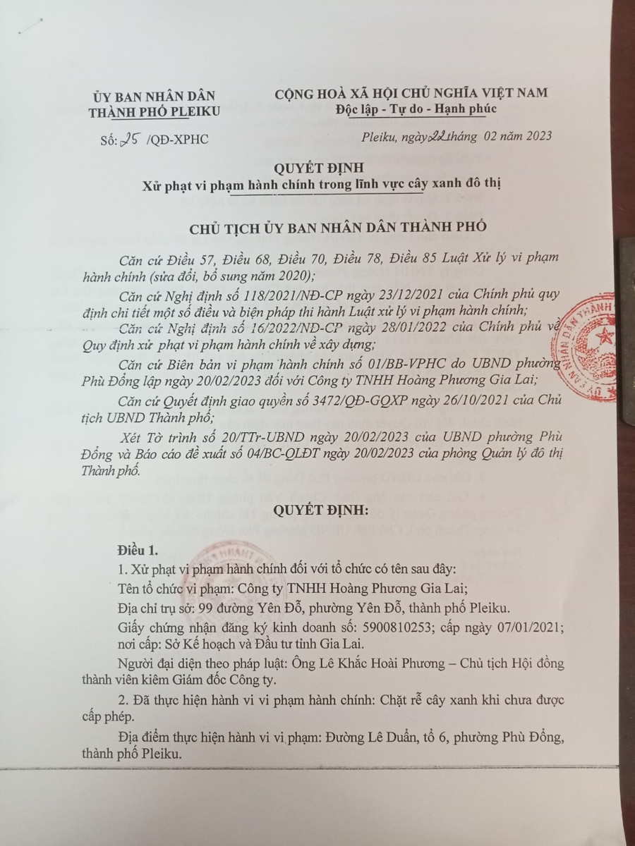 Quyết định xử phạt Công ty TNHH Hoàng Phương Gia Lai do UBND thành phố Pleiku ban hành. Ảnh: Nguyễn Tú Quyết định xử phạt Công ty TNHH Hoàng Phương Gia Lai do UBND thành phố Pleiku ban hành. Ảnh: Nguyễn Tú