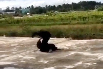 Hai nữ sinh Trường THCS và THPT Y Đôn đánh nhau. Ảnh cắt từ clip Hai nữ sinh Trường THCS và THPT Y Đôn đánh nhau. Ảnh cắt từ clip