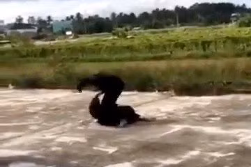 Hai nữ sinh Trường THCS và THPT Y Đôn đánh nhau. Ảnh cắt từ clip