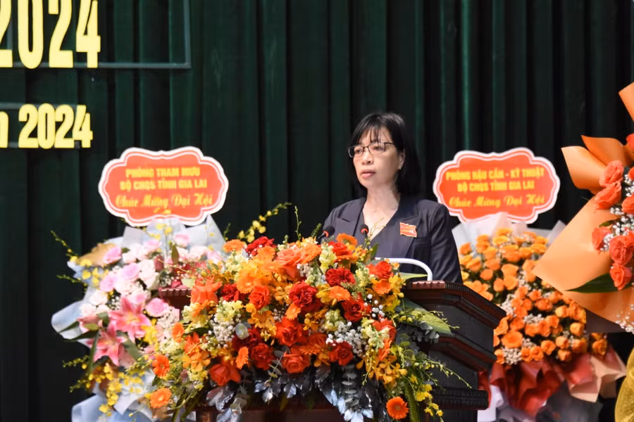 Phó Chủ tịch UBND tỉnh phát biểu khai mạc đại hội. Ảnh: Đức Thụy