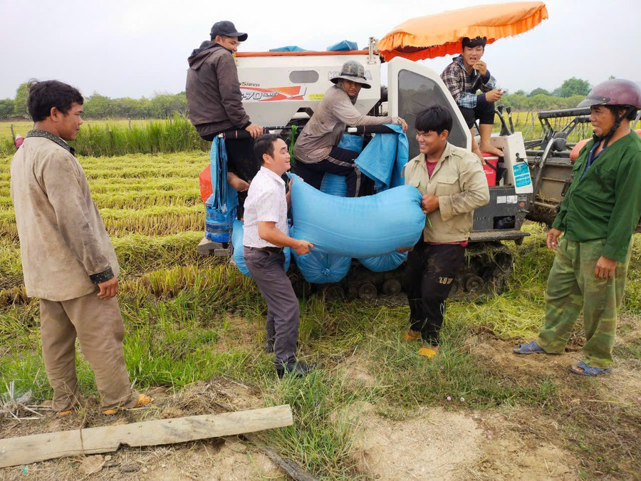 Ông Nguyễn Tuấn Anh (người mặc áo trắng) xuống đồng giúp dân. Ảnh: Vĩnh hoàng