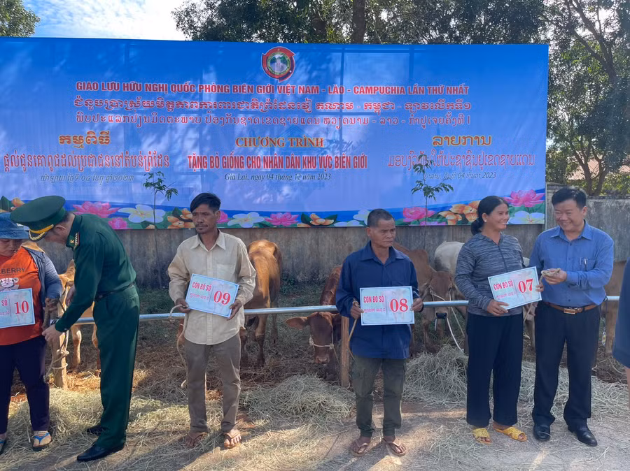 Lãnh đạo địa phương và đơn vị trao bò cho người dân. Ảnh: Vĩnh Hoàng