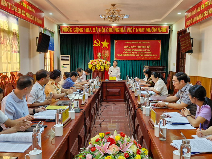 Quang cảnh buổi giám sát. Ảnh: Vĩnh Hoàng Quang cảnh buổi giám sát. Ảnh: Vĩnh Hoàng