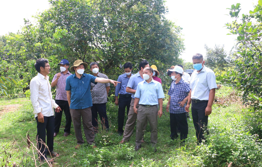 Ông Trương Văn Đạt-Ủy viên Ban Thường vụ Tỉnh ủy, Phó Chủ tịch Thường trực HĐND tỉnh Gia Lai (thứ 2 từ trái sang) cùng đại biểu HĐND giám sát việc thực hiện tái cơ cấu ngành nông nghiệp. Ảnh: Quang Tấn. Ông Trương Văn Đạt-Ủy viên Ban Thường vụ Tỉnh ủy, Phó Chủ tịch Thường trực HĐND tỉnh Gia Lai (thứ 2 từ trái sang) cùng đại biểu HĐND giám sát việc thực hiện tái cơ cấu ngành nông nghiệp. Ảnh: Quang Tấn.
