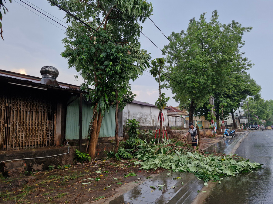 Một số cây xanh trên đường Trường Chinh bị gãy cành, người dân nhanh chóng thu gom. Ảnh: Vĩnh Hoàng Một số cây xanh trên đường Trường Chinh bị gãy cành, người dân nhanh chóng thu gom. Ảnh: Vĩnh Hoàng