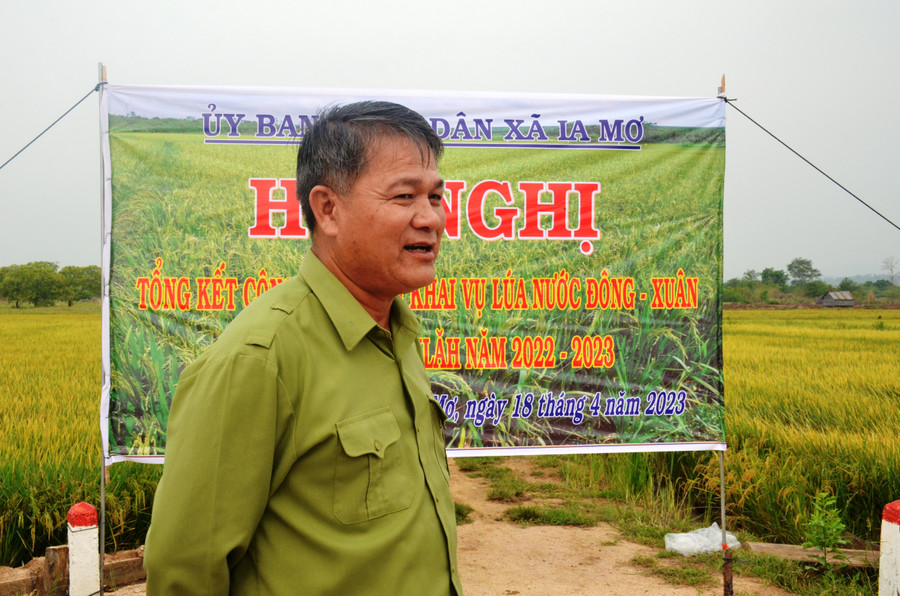 Ông Đinh Văn Dũng-người đặt nền móng cho cây lúa nước ở Ia Mơr. Ảnh: Vĩnh Hoàng