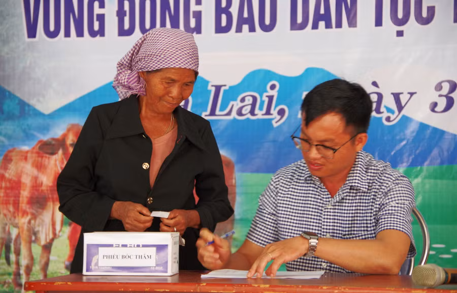 Người dân bốc thăm để nhận bò. Ảnh: Vĩnh Hoàng