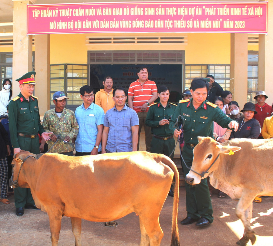 Bàn giao bò cho người dân. Ảnh: Vĩnh Hoàng