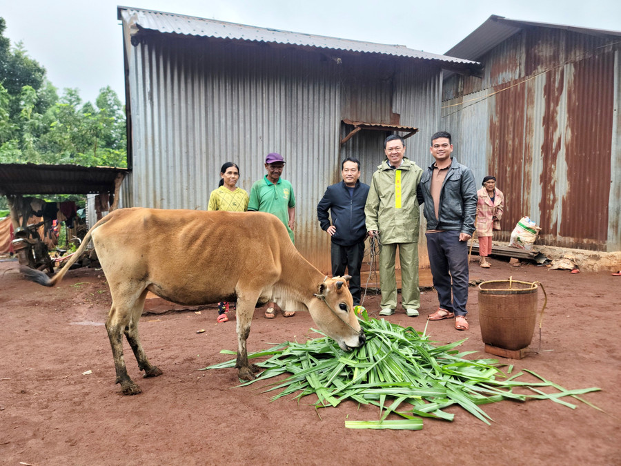 Đại diện Quỹ hỗ trợ bệnh nhân nghèo Gia Lai trao tặng bò cho gia đình ông Jit. Ảnh: Như Nguyện Đại diện Quỹ hỗ trợ bệnh nhân nghèo Gia Lai trao tặng bò cho gia đình ông Jit. Ảnh: Như Nguyện