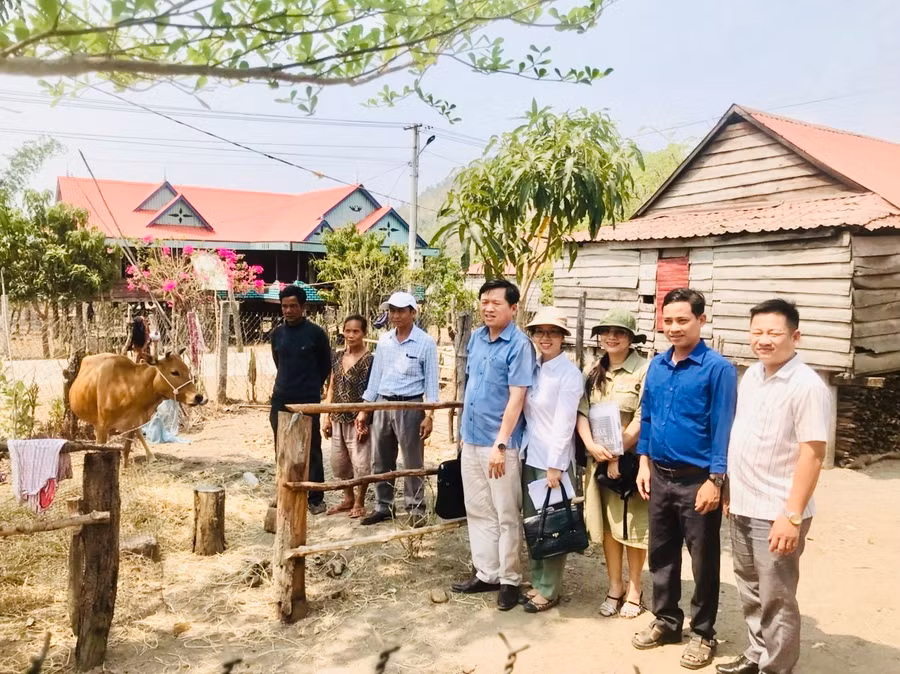 Đại diện Sở Y tế và chính quyền địa phương bàn giao bò cho hộ nghèo. Ảnh: Sở Y tế cung cấp