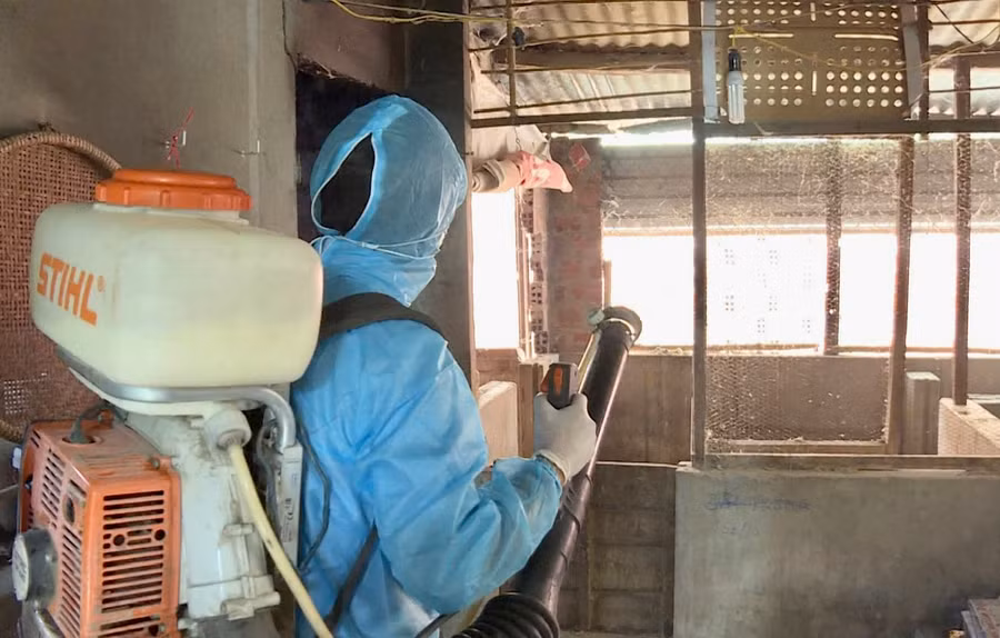 Cán bộ y tế xử lý một ổ dịch trên địa bàn huyện Chư Prông. Ảnh: Như Nguyện