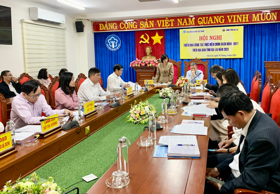 Phó Chủ tịch UBND tỉnh Nguyễn Thị Thanh Lịch phát biểu tại buổi làm việc. Ảnh: Như Nguyện