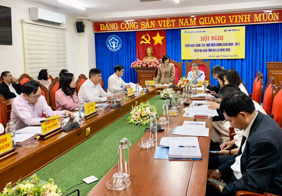 Phó Chủ tịch UBND tỉnh Nguyễn Thị Thanh Lịch phát biểu tại buổi làm việc. Ảnh: Như Nguyện