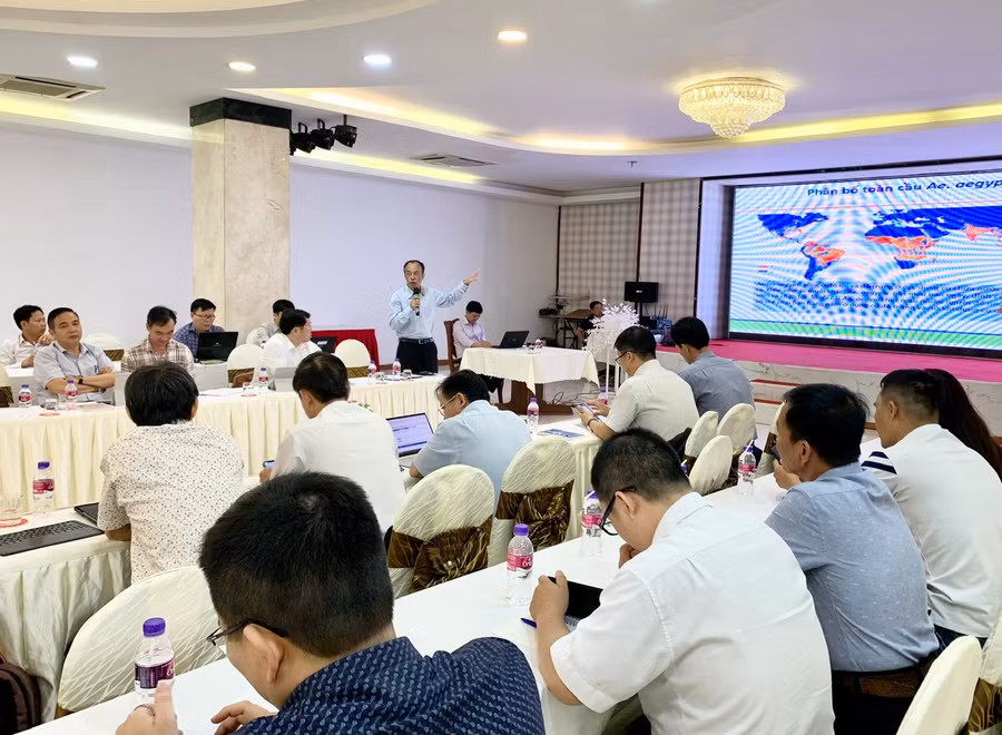 Đại diện WHO trình bày bài thuyết trình về công tác phòng-chống SXH. Ảnh: Như Nguyện