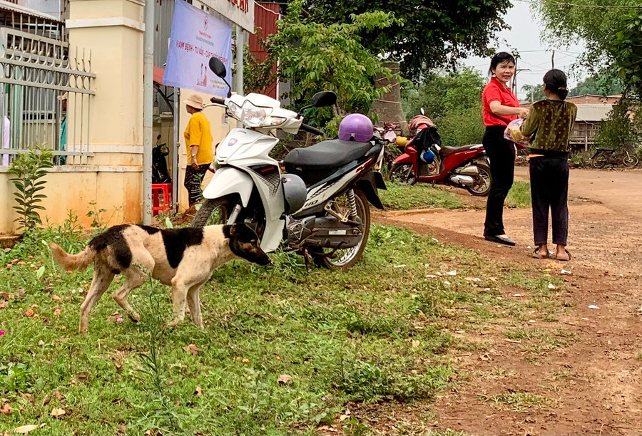 Để phòng-chống bệnh dại, các gia đình cần tiêm vắc xin phòng bệnh dại cho chó mèo và tuân thủ các quy định trong việc quản lý vật nuôi. Ảnh: Như Nguyện Để phòng-chống bệnh dại, các gia đình cần tiêm vắc xin phòng bệnh dại cho chó mèo và tuân thủ các quy định trong việc quản lý vật nuôi. Ảnh: Như Nguyện
