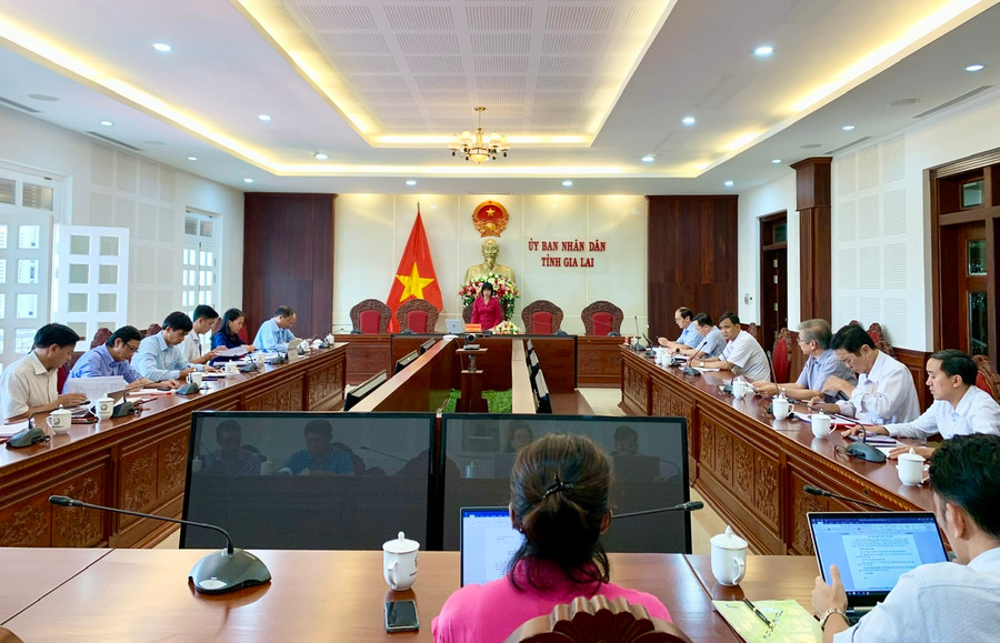 Phó Chủ tịch UBND tỉnh Nguyễn Thị Thanh Lịch chủ trì cuộc họp. Ảnh: Như Nguyện Phó Chủ tịch UBND tỉnh Nguyễn Thị Thanh Lịch chủ trì cuộc họp. Ảnh: Như Nguyện