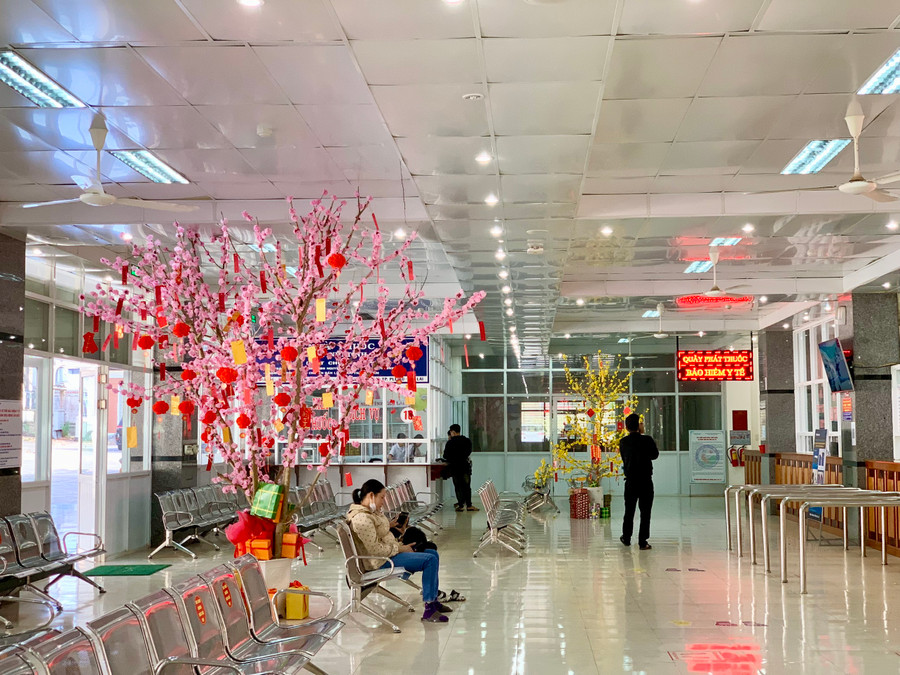 Ngay tại sảnh Khoa Khám Cấp cứu (Bệnh viện Nhi Gia Lai) được trang trí cây đào và mai vàng rực rỡ báo hiệu mùa Xuân về. Ảnh: Như Nguyện Ngay tại sảnh Khoa Khám Cấp cứu (Bệnh viện Nhi Gia Lai) được trang trí cây đào và mai vàng rực rỡ báo hiệu mùa Xuân về. Ảnh: Như Nguyện