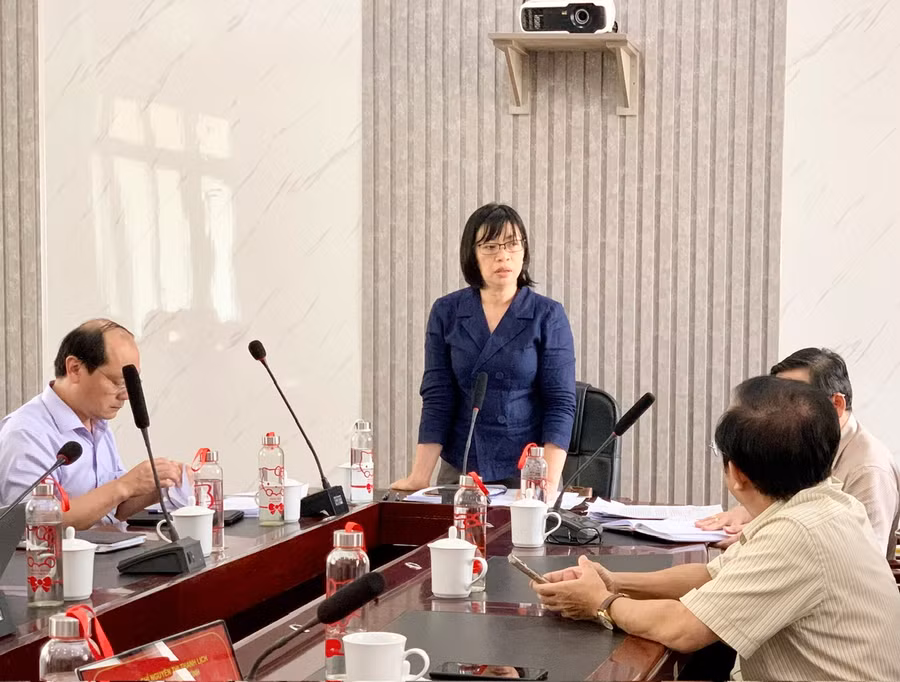 Phó Chủ tịch UBND tỉnh Nguyễn Thị Thanh Lịch phát biểu tại buổi làm việc. Ảnh: Như Nguyện