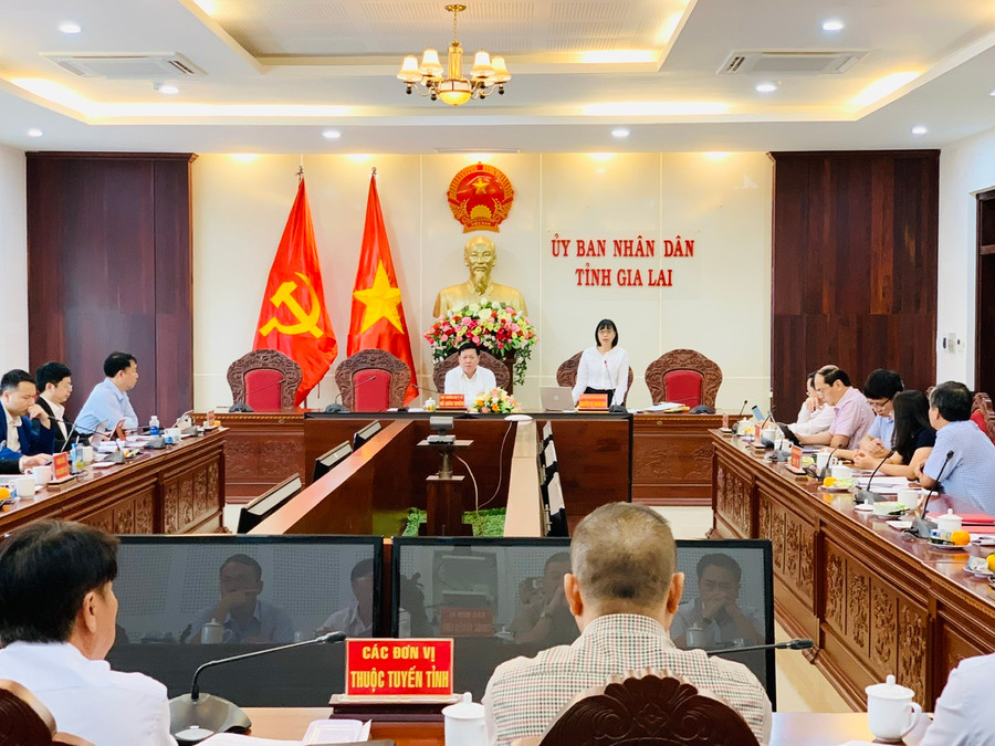 Phó Chủ tịch UBND tỉnh Nguyễn Thị Thanh Lịch phát biểu tại buổi làm việc. Ảnh: Như Nguyện Phó Chủ tịch UBND tỉnh Nguyễn Thị Thanh Lịch phát biểu tại buổi làm việc. Ảnh: Như Nguyện