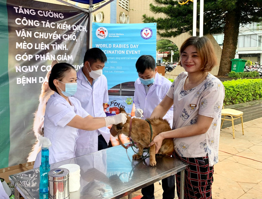 Các chủ nuôi cần tiêm vắc xin phòng dại cho chó, mèo để phòng, chống bệnh dại. Ảnh: Như Nguyện Các chủ nuôi cần tiêm vắc xin phòng dại cho chó, mèo để phòng, chống bệnh dại. Ảnh: Như Nguyện