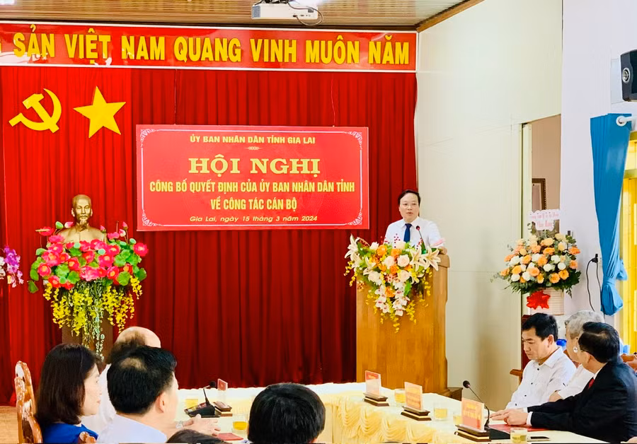 Chủ tịch UBND tỉnh Trương Hải Long phát biểu tại hội nghị. Ảnh: Như Nguyện