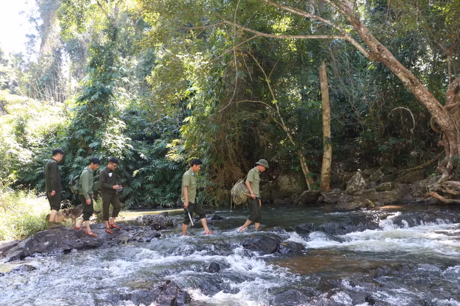 Dù vất vả và áp lực nhưng lực lượng chức năng huyện Kbang quyết tâm hoàn thành tốt nhiệm vụ được giao. Ảnh: Quang Tấn