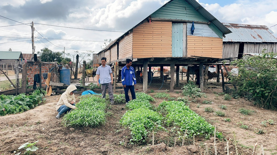 Gia đình chị Rmah H’Sen (Plei Bông) tiết kiệm tiền làm được căn nhà sàn khá khang trang và cải tạo khu vườn để trồng thêm rau xanh. Ảnh: Hoa Mai