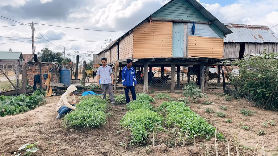 Gia đình chị Rmah H’Sen (Plei Bông) tiết kiệm tiền làm được căn nhà sàn khá khang trang và cải tạo khu vườn để trồng thêm rau xanh. Ảnh: Hoa Mai