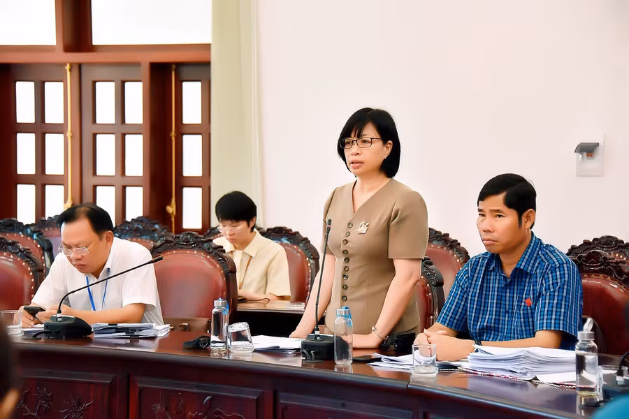 Phó chủ tịch UBND tỉnh Nguyễn Thị Thanh Lịch tham gia phát biểu tại buổi thảo luận tổ. Ảnh: Đức Thụy