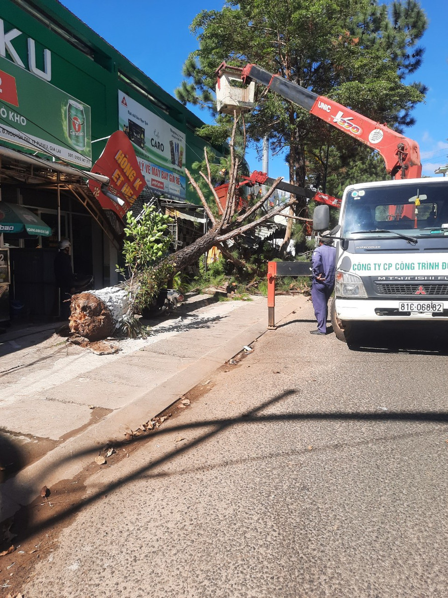 Lực lượng chức năng đã có mặt kịp thời để xử lý sự cố. Ảnh: Người dân cung cấp Lực lượng chức năng đã có mặt kịp thời để xử lý sự cố. Ảnh: Người dân cung cấp