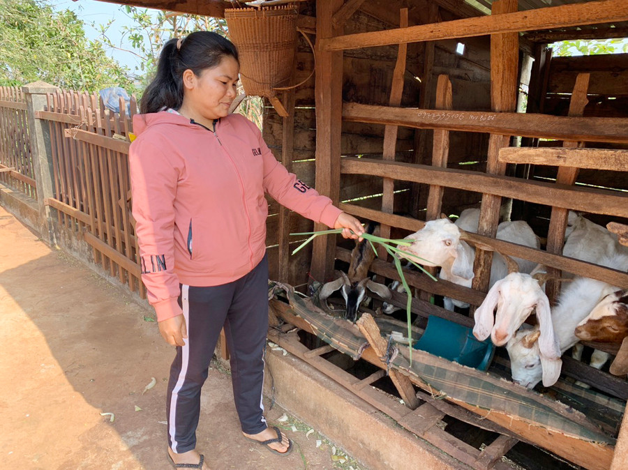 Nhờ mạnh dạn vay vốn đầu tư phát triển trồng trọt, chăn nuôi mà gia đình chị H'Dõ đã thoát nghèo và vươn lên làm giàu. Ảnh: Hà Chi Nhờ mạnh dạn vay vốn đầu tư phát triển trồng trọt, chăn nuôi mà gia đình chị H'Dõ đã thoát nghèo và vươn lên làm giàu. Ảnh: Hà Chi