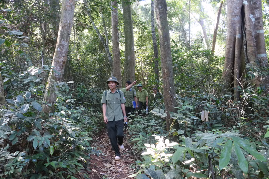 Anh Cao Cẩm Hoàng (đi đầu) cùng anh em trong tổ phối hợp với các lực lượng tuần tra, bảo vệ rừng dịp Tết Nguyên đán 2024. Ảnh: Quang Tấn