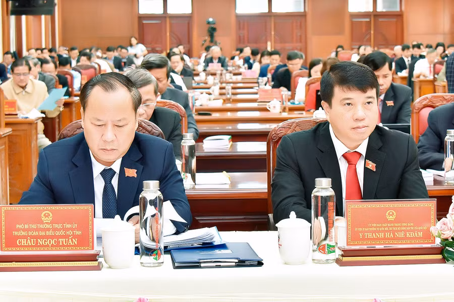 Các đại biểu dự kỳ họp thứ 15 HĐND tỉnh khóa XII. Ảnh: Đức Thụy