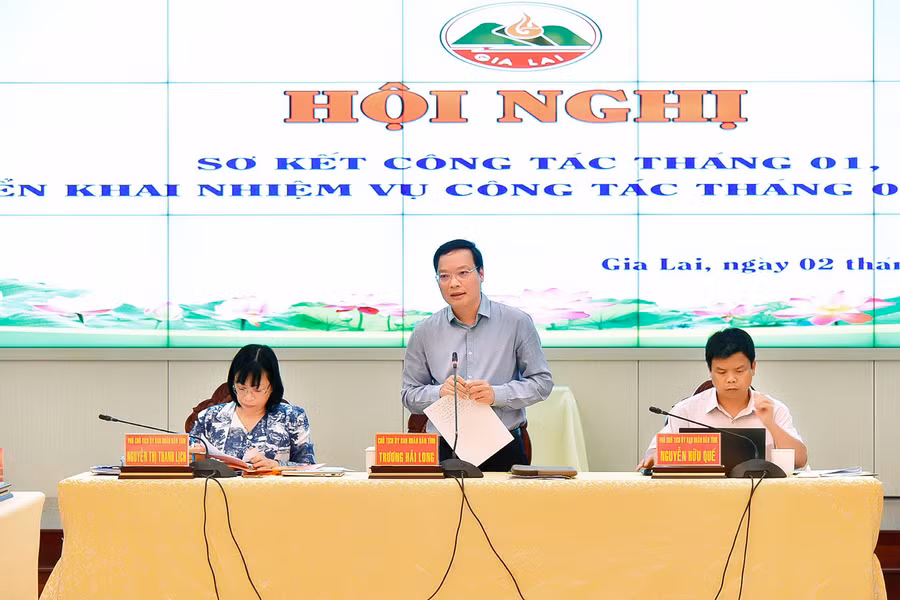 Phó Bí thư Tỉnh ủy, Chủ tịch UBND tỉnh Trương Hải Long phát biểu khai mạc hội nghị. Ảnh: Đức Thụy