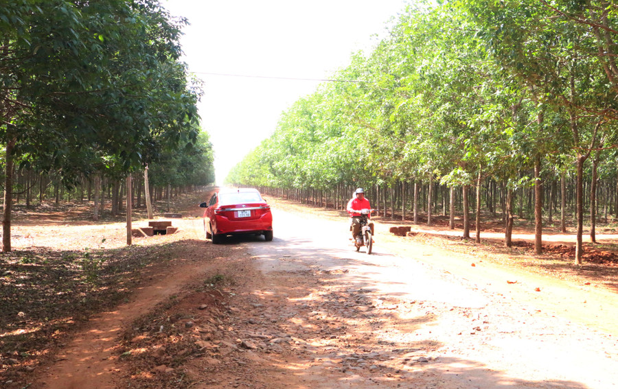 Nhiều người dân bức xúc khi đường đã hư hỏng, xuống cấp nhiều năm những chưa được quan tâm đầu tư, sửa chữa. Ảnh: Quang Tấn