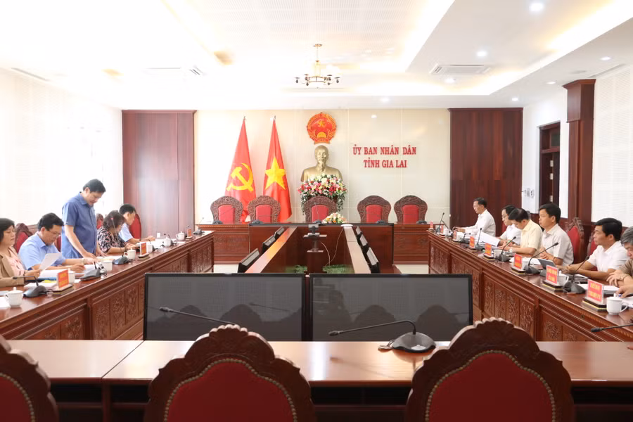 Quang cảnh buổi khảo sát. Ảnh: Quang Tấn