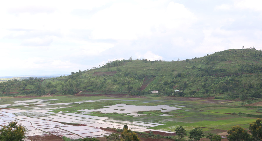 Đường Lý Chính Thắng sẽ là điểm du lịch trải nghiệm những thung lũng lúa vàng cùng đồi bắn Chư Á rực rỡ sắc vàng hoa dã quỳ trong tương lai không xa. Ảnh: Tấn Sang