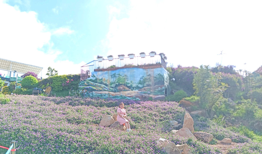 Du khách chụp ảnh lưu niệm bên các vườn hoa đầy sắc màu. Ảnh: Quang Tấn