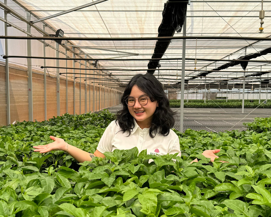 Giờ đây, khi yêu những lọn tóc xoăn chẳng hề giống nhau, tôi cũng dần biết cách yêu thương cả những điều khác biệt đẹp đẽ lẫn chưa được đẹp của chính mình. Ảnh: Quỳnh Như