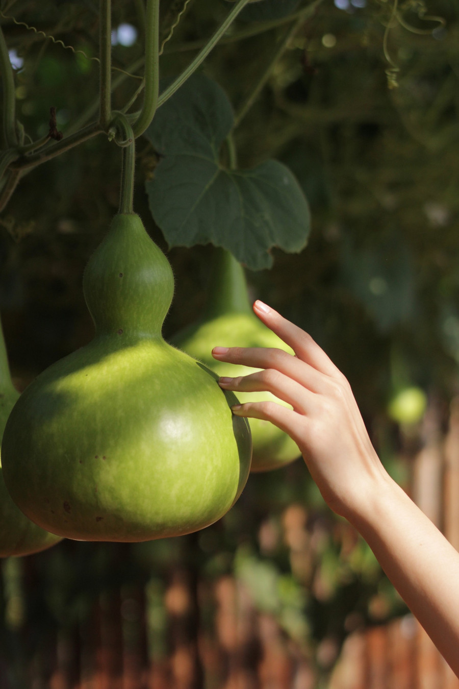 Ý tưởng cho những dự án cá nhân đều có thể bắt nguồn từ những khoảnh khắc thân thuộc hàng ngày. Ảnh: NVCC Ý tưởng cho những dự án cá nhân đều có thể bắt nguồn từ những khoảnh khắc thân thuộc hàng ngày. Ảnh: NVCC