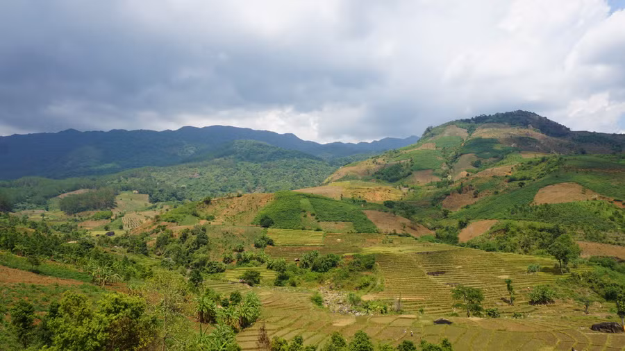 Cánh đồng lúa bậc thang uốn lượn đẹp mắt quanh chân núi. Ảnh: Thảo Nhi. Cánh đồng lúa bậc thang uốn lượn đẹp mắt quanh chân núi. Ảnh: Thảo Nhi.