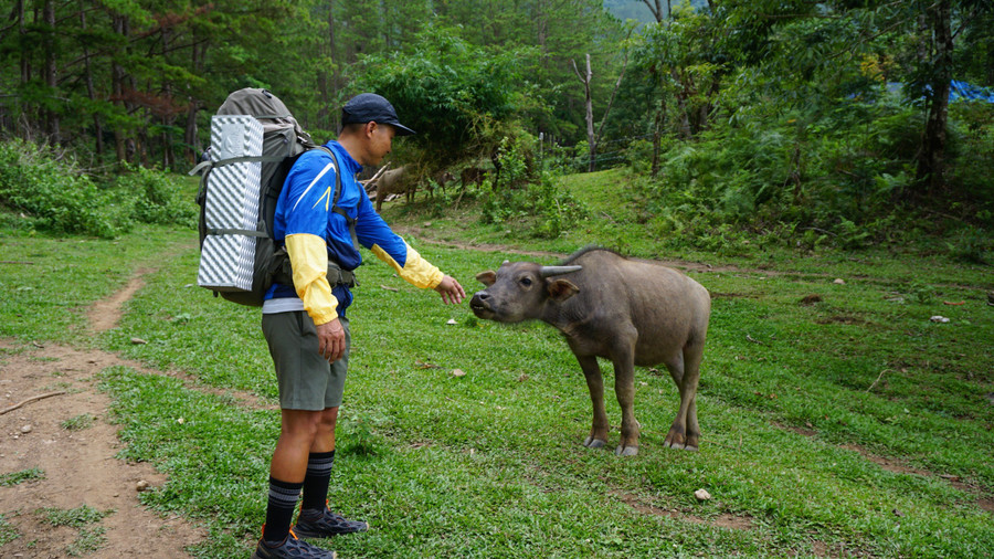 Anh Nguyễn Thắng "trò chuyện" cùng một chú trâu trên cung đường trekking. Ảnh: Thảo Nhi Anh Nguyễn Thắng "trò chuyện" cùng một chú trâu trên cung đường trekking. Ảnh: Thảo Nhi