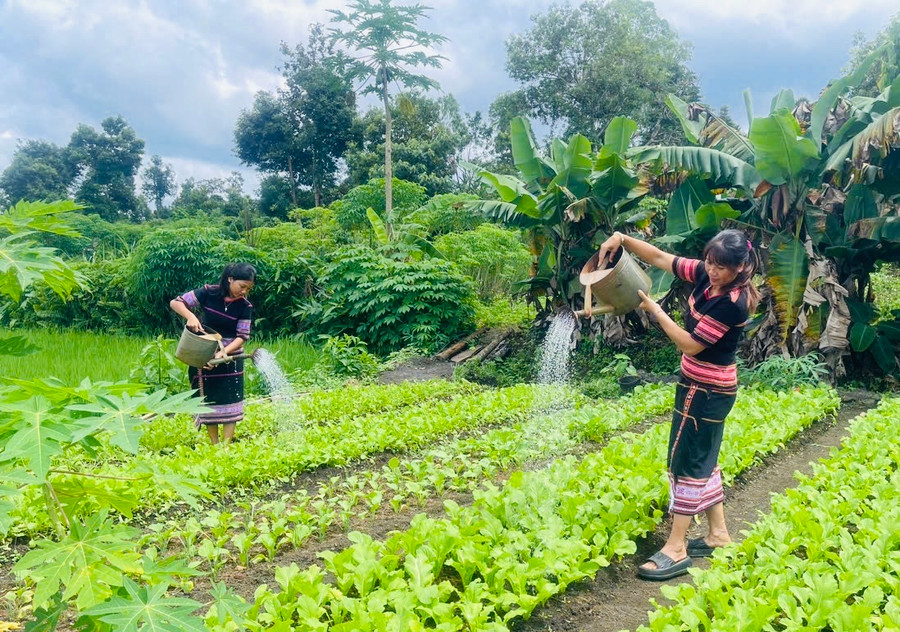 Được cán bộ Hội LHPN xã và cán bộ nông nghiệp xã hướng dẫn kỹ thuật, hội viên phụ nữ chăm sóc vườn rau tốt hơn. Ảnh: Nhật Hào Được cán bộ Hội LHPN xã và cán bộ nông nghiệp xã hướng dẫn kỹ thuật, hội viên phụ nữ chăm sóc vườn rau tốt hơn. Ảnh: Nhật Hào
