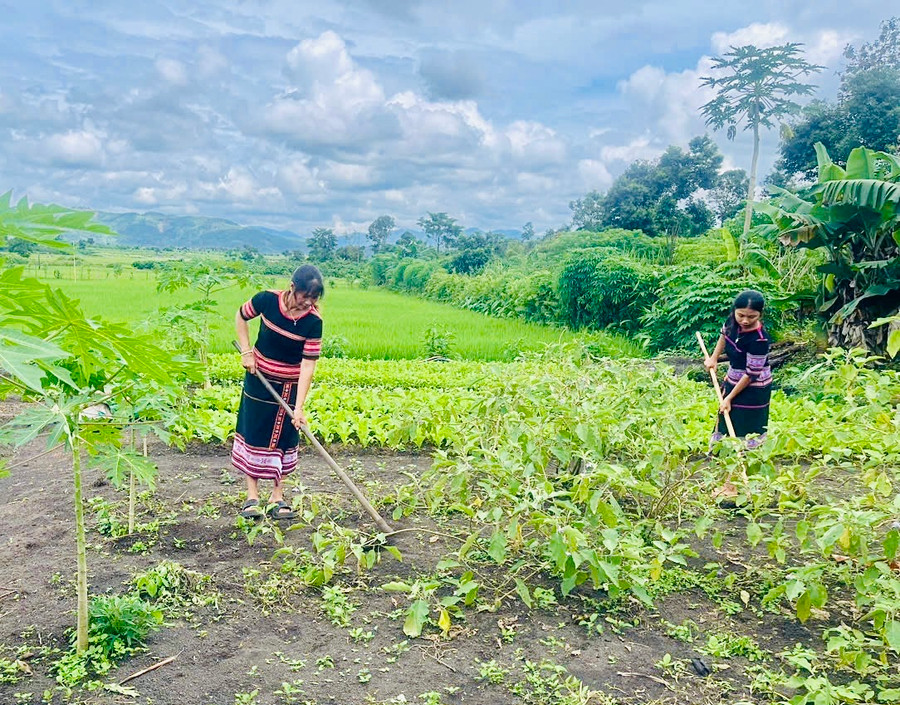 Nhiều hội viên phụ nữ xã Ia Ka đã cải tạo vườn tạp trồng rau xanh để cải thiện bữa ăn. Ảnh: Nhật Hào Nhiều hội viên phụ nữ xã Ia Ka đã cải tạo vườn tạp trồng rau xanh để cải thiện bữa ăn. Ảnh: Nhật Hào