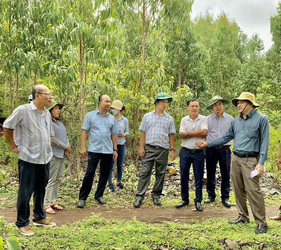 Đoàn kiểm tra việc hoàn thổ, cải tạo phục hồi môi trường tại điểm mỏ đá bazan tại thị trấn Kông Chro của Công ty TNHH một thành viên Đào Kỳ (đã đóng cửa mỏ). Ảnh: Nhật Hào
